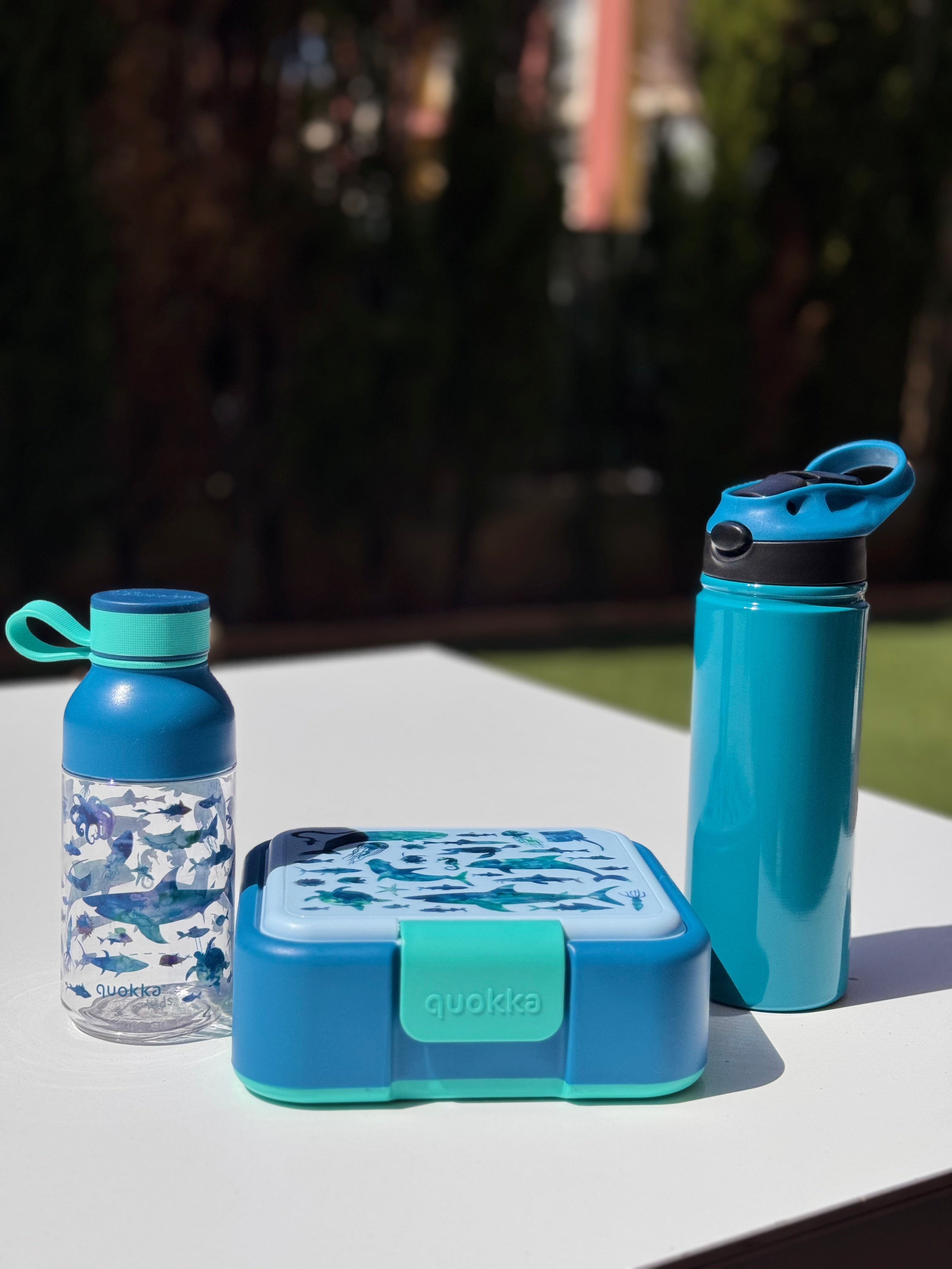 Snack Box infantil con compartimentos - Dos diseños