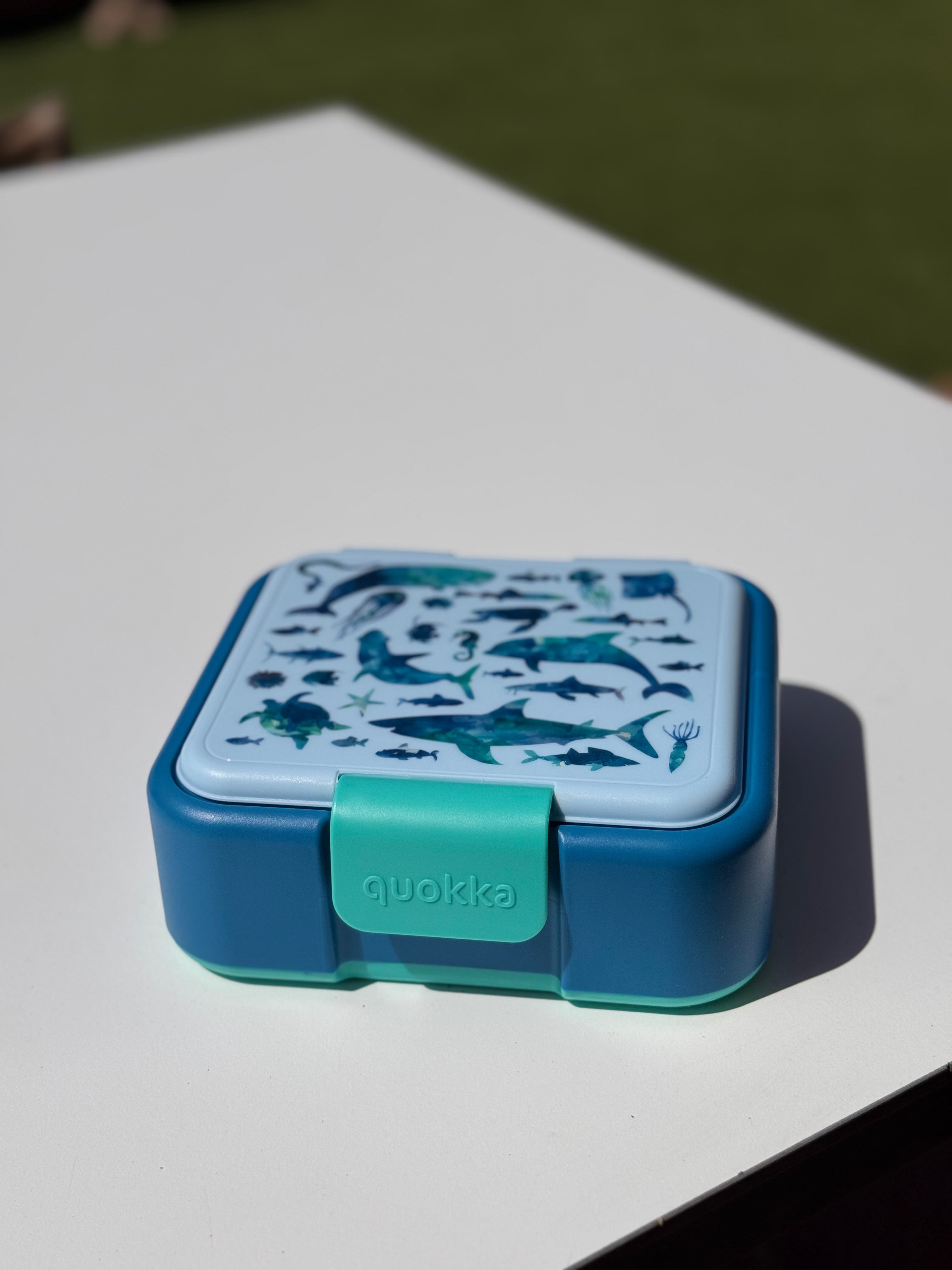 Snack Box infantil con compartimentos - Dos diseños