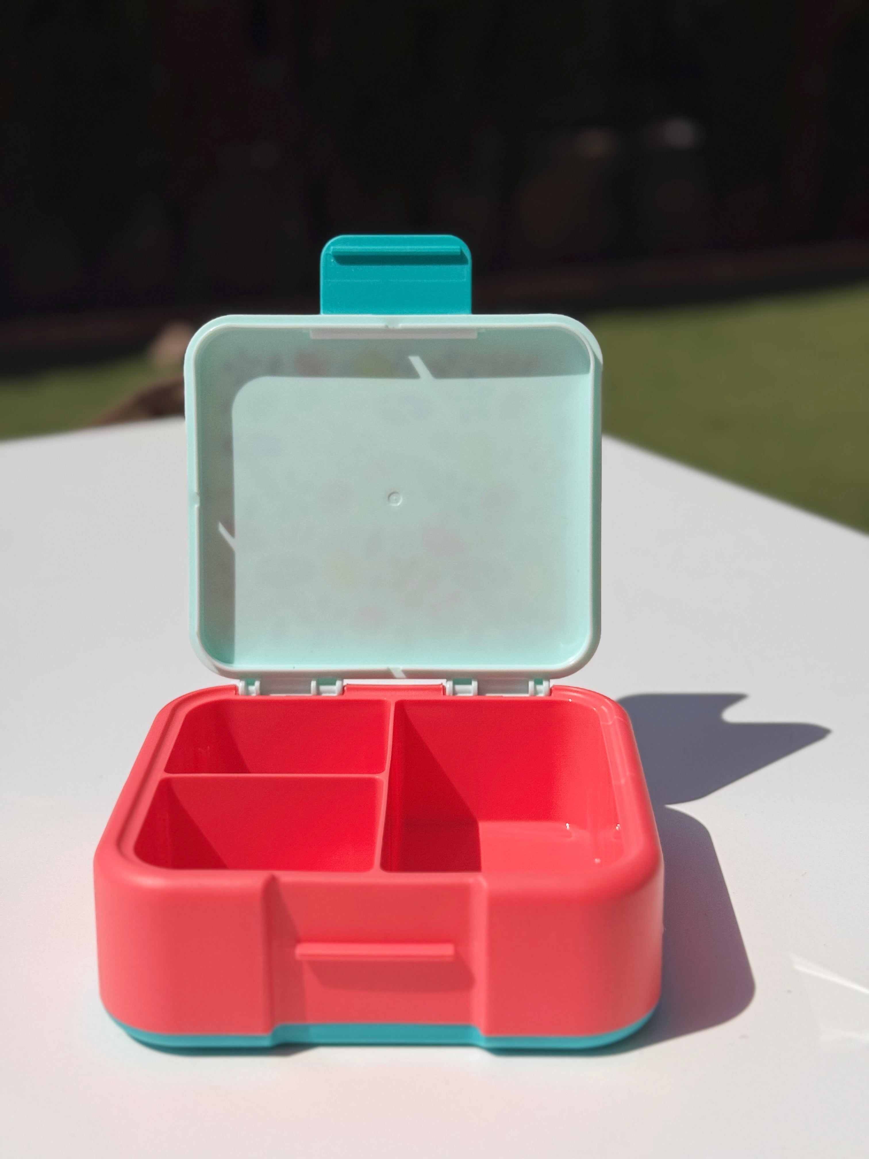 Snack Box infantil con compartimentos - Dos diseños